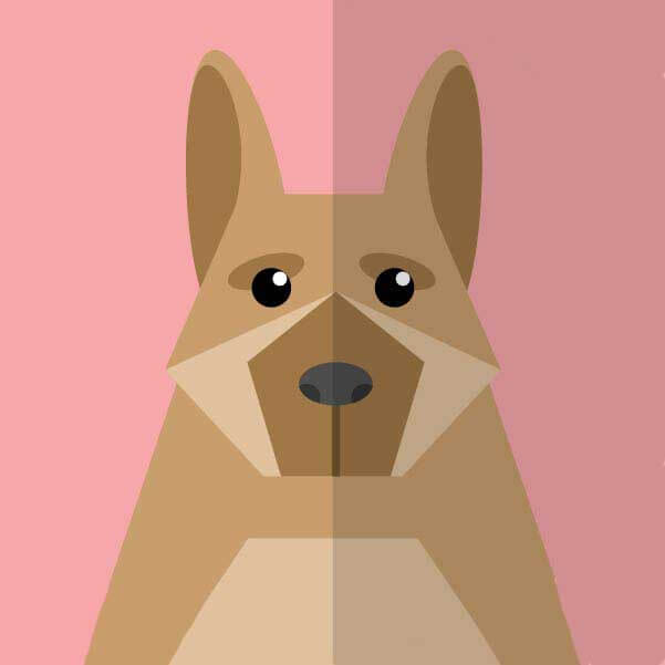 《国服达摩》-资源截图