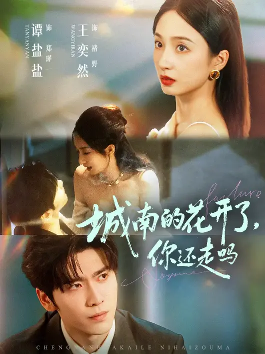 《城南的花开了,你还走吗》-资源截图
