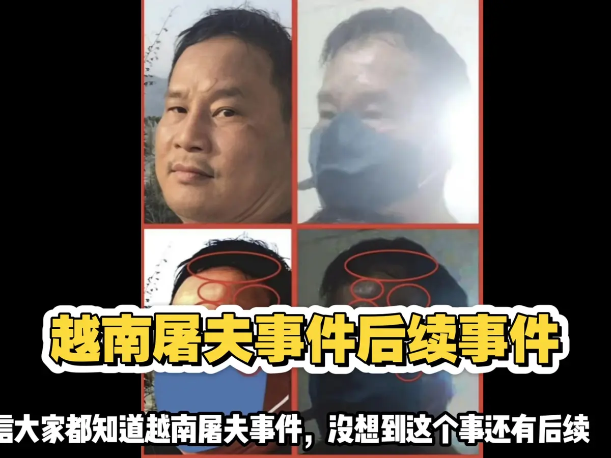 SEO关键词提取-资源截图