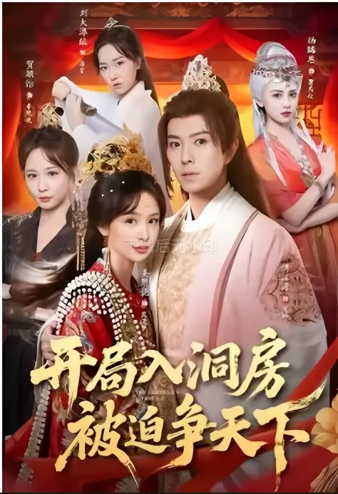 《开局入洞房,被迫争天下》-资源截图