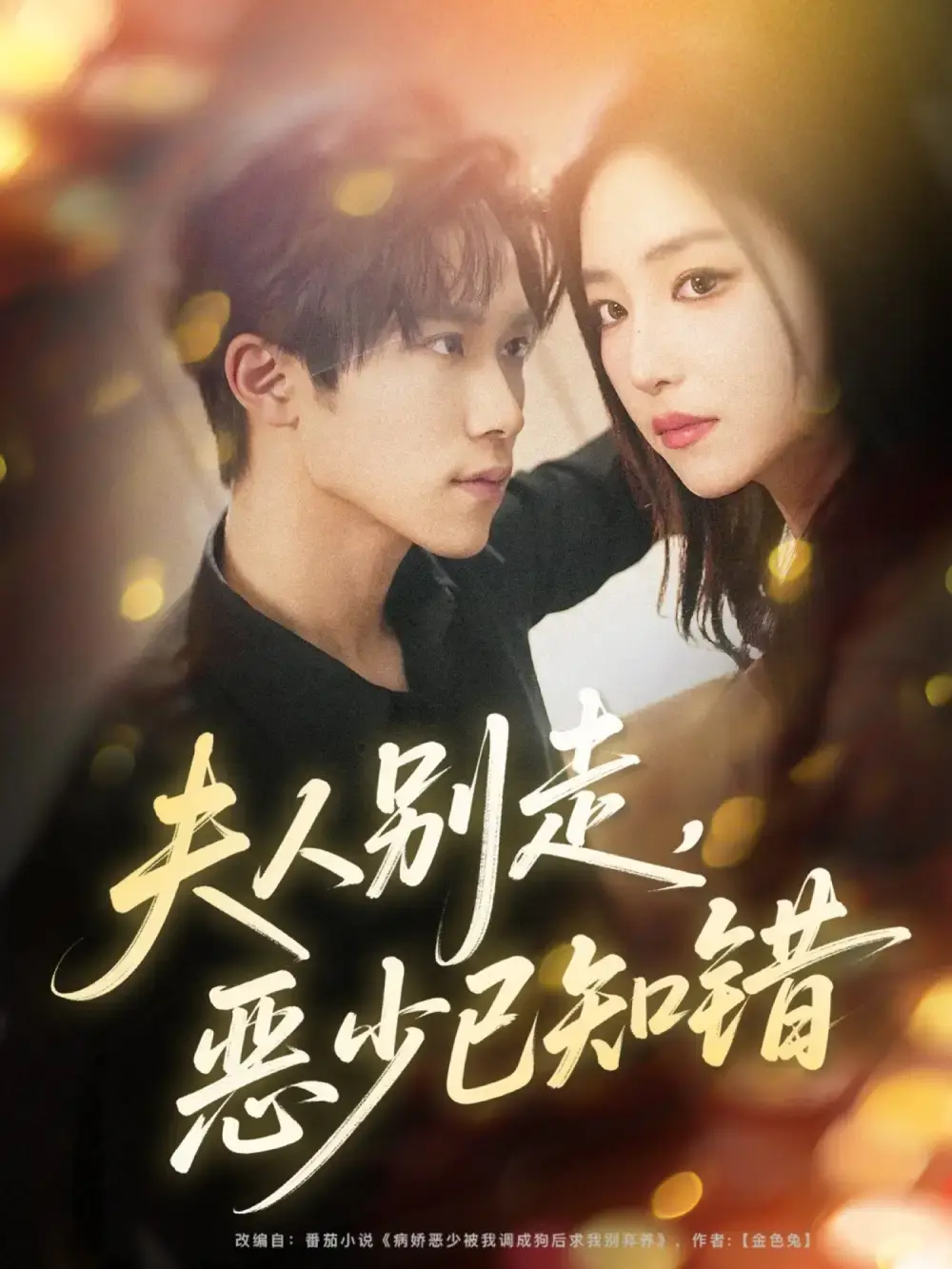 《夫人别走恶少已知错》-资源截图