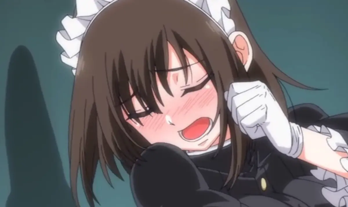 《女仆教育：没落贵族琉璃川》未删减终极版在线观看_琉璃川椿与小野寺律的贵族情缘_全集高清流畅播放_女仆教育系列完美收官