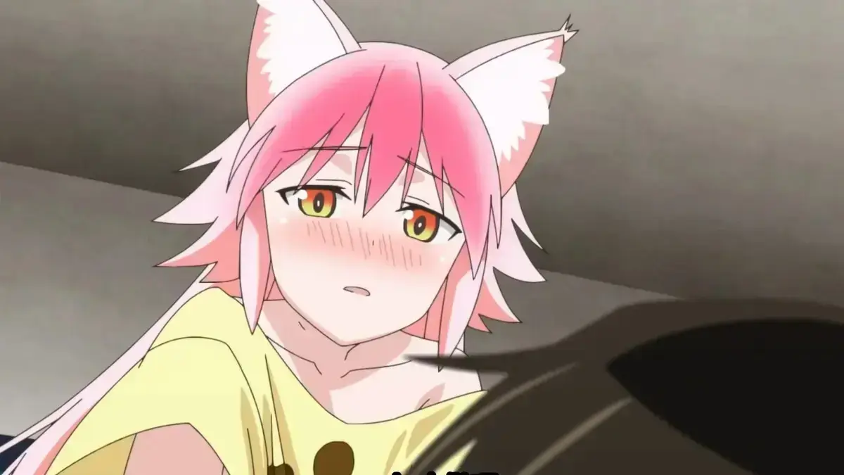 兽娘通信HD高清完整版1至6集-《兽娘通信》无广告免费观看-全网同步更新-萌系兽娘恋爱番全集